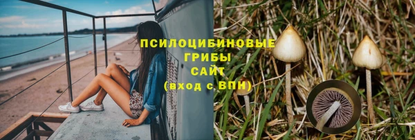 прущие грибы Абдулино