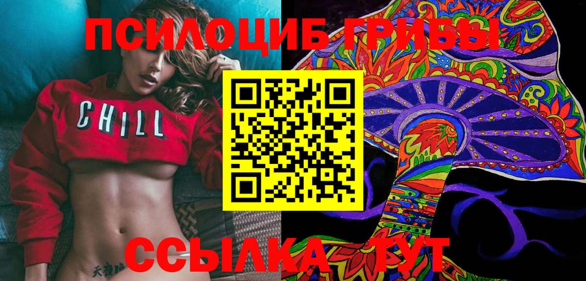 Галлюциногенные грибы мицелий  Вход с VPN  Алейск 