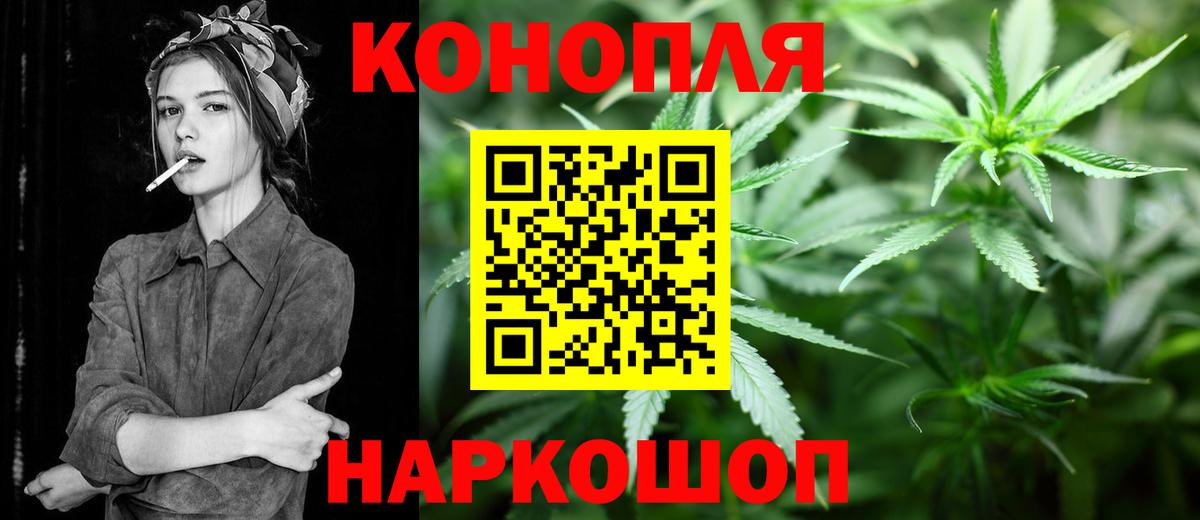 Алейск  Марихуана сатива  Шишки марихуана план  Марихуана сатива  Вход с VPN 